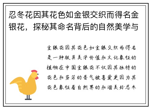 忍冬花因其花色如金银交织而得名金银花,探秘其命名背后的自然美学与文化寓意 忍冬花因其花色如金银交织而得名金银花,探秘其命名背后的自然美学与文化寓意